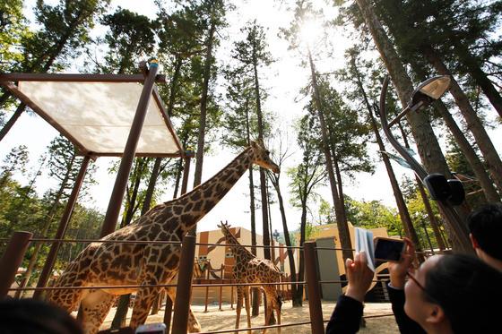 6년 멈췄던 부산 '동물원 시계' 다시 돈다…10월 임시 개방 목표