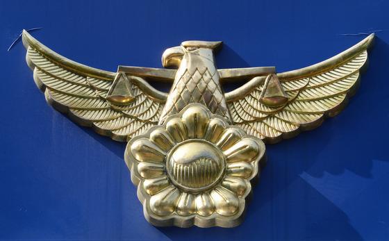 대학교 화단에 파묻힌 고양이 사체…"동물학대 가능성" 수사