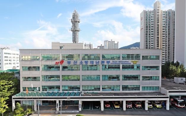부산진구 어린이공원서 멧돼지 3마리 출몰…구·소방 수색 중