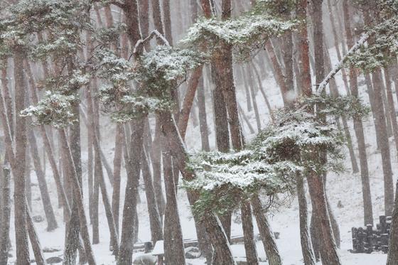 경남 합천 대설주의보 해제…함양은 유지