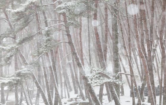 경남 함양·합천 대설주의보 발효…최대 8㎝ 눈 쌓일 듯