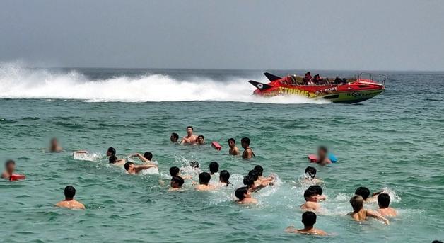 "반려견과 해변 누비고 야간수영도"…손님맞이 마친 전국 해수욕장