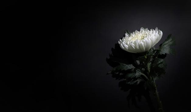 [부고] 전성하 씨(부산시 미래전략보좌관) 부친상