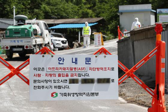 경남 창녕에서 아프리카돼지열병 발생…긴급 방역 조치 착수