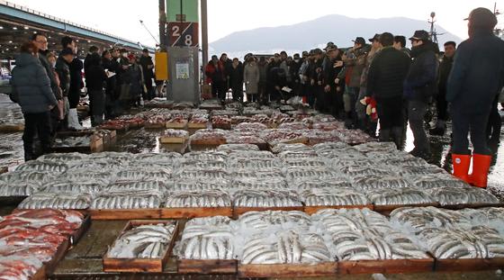 부산공동어시장 2일 새해 첫 경매…'글로벌 K-푸드 기지' 도약 선언