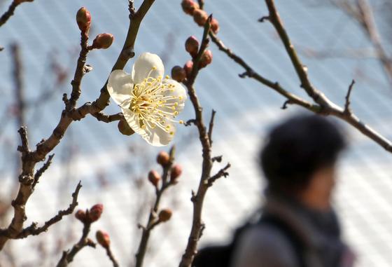 [오늘의 날씨] 부산·경남(5일, 목)…낮 최고 13~15도 '봄 날씨'