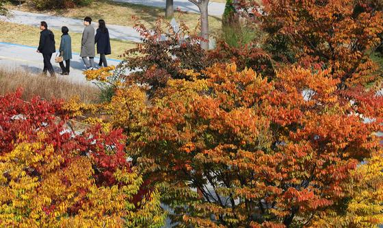 [오늘의 날씨] 부산·경남(1일, 토)…11월 첫날 낮 최고 20도 '포근' 