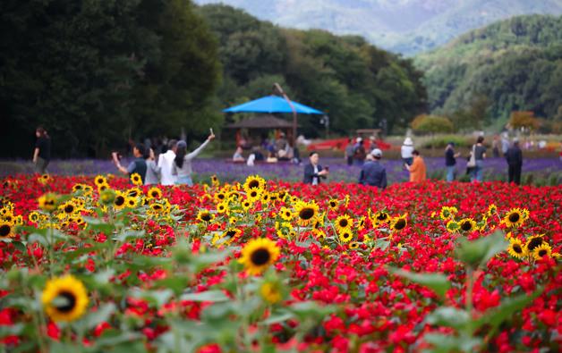 함양 상림공원 국가 유산 야행 선정…숲·생태·역사 초점