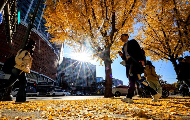 [오늘의 날씨]부산·경남(16일, 일)…맑고 건조한 날씨
