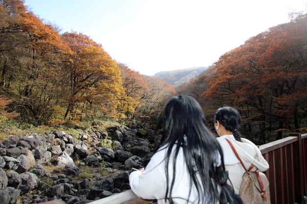 주말 전국 곳곳서 늦가을 즐겨…오대산·속리산에만 1만여 명(종합)