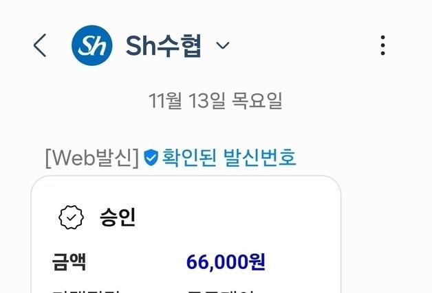 체크카드서 소유주도 모르게 10만원 빠져나가