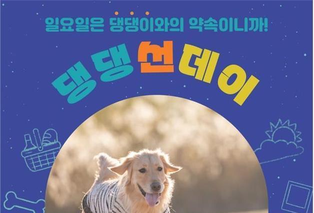 부산에서 반려동물과 함께하는 소풍…23일 '댕댕 선데이' 행사