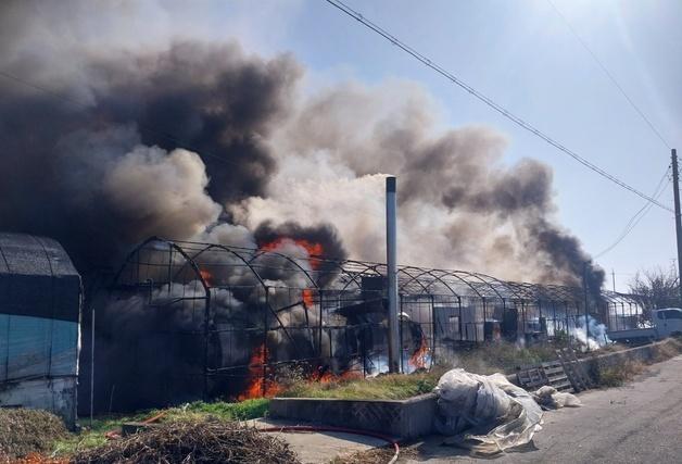 김해 비닐하우스서 불…9000만원 재산 피해