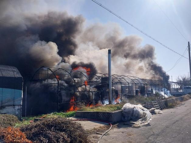 김해 비닐하우스서 불…9000만원 재산 피해