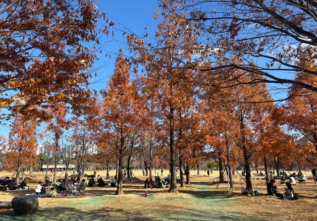 "잘가라, 가을"…맑고 포근한 날씨에 부산시민공원 막바지 피크닉 행렬
