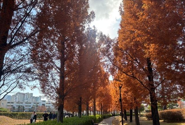 [오늘의 날씨] 부산·경남(1일, 월)…오늘까지는 따뜻