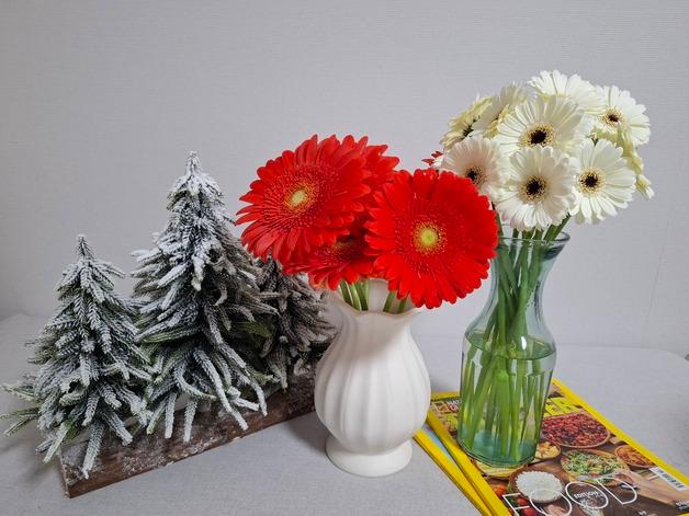 경남농기원 자체 육성 '미니 거베라' 신품종 품종보호권 획득