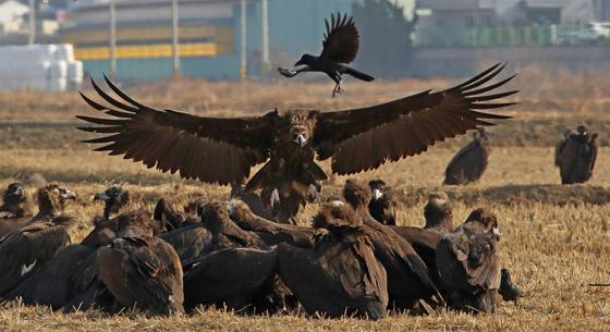 [오늘의 날씨] 부산·경남(16일, 화)…최저 -4도, 큰 일교차