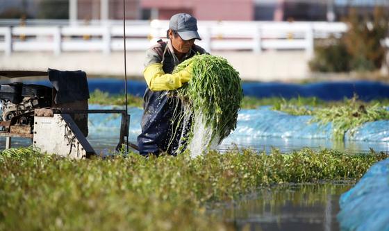 [오늘의 날씨] 부산·경남(21일, 일)…기온 뚝, 낮 최고 6~8도