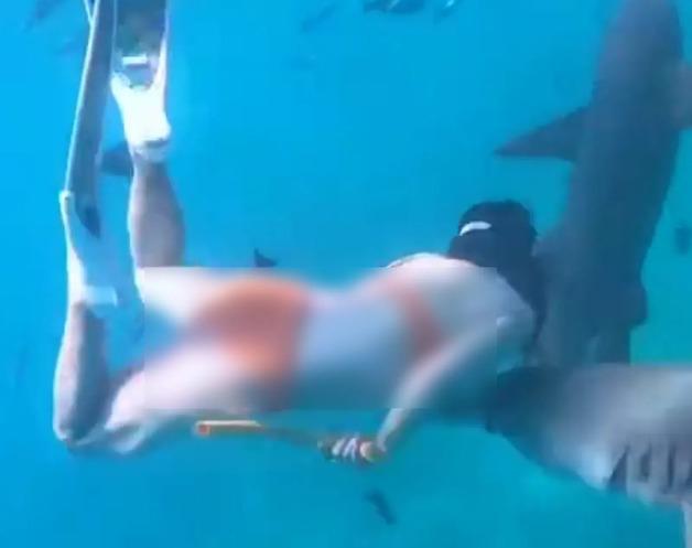 "생리 중에도 수영 괜찮다" 인생샷 찍으려 다이빙…상어에 물려 손목 위기