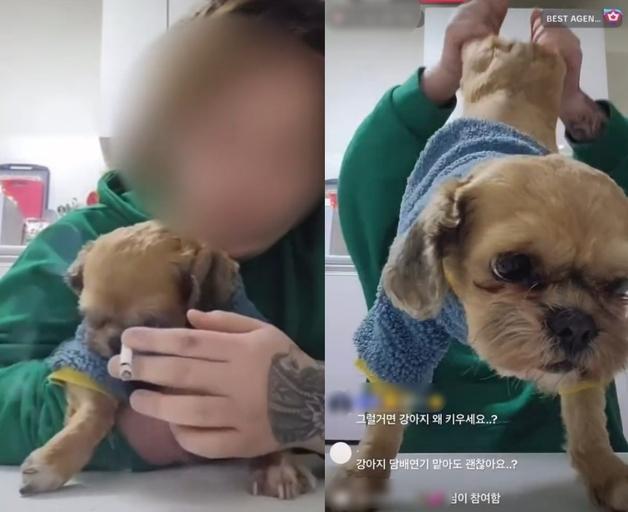 강아지 뒷다리 들어 흔들고 담배 연기 내뿜는 견주…동물학대 '공분'