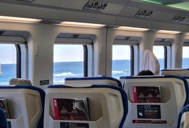 [르포] "강릉서 아침, 점심은 부산 돼지국밥"…철길 위 '해안 절경' 즐겨