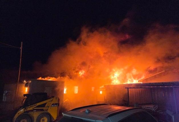 김해 돈사 화재로 돼지 1880마리 폐사(종합)