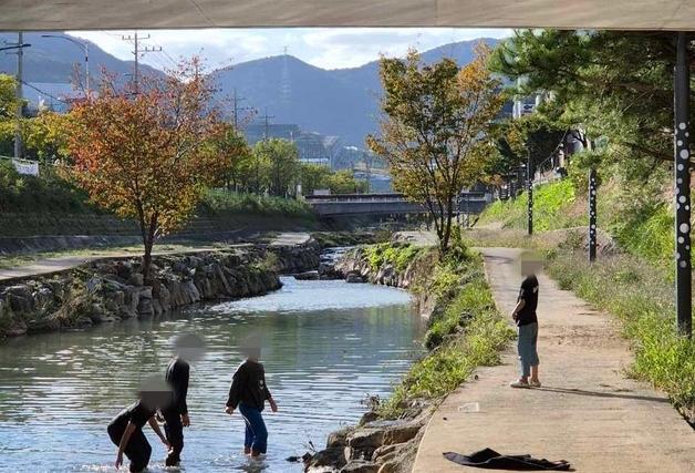 부산 강서구 "지사천 물고기 폐사 원인, 공장 폐수 때문 아냐"