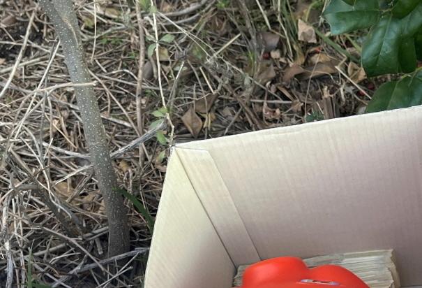 세상이 어지러워도 어김없이 나타난 '평범한 천사들'(종합)