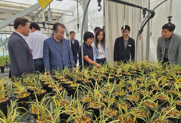'합천춘란' 올해 농가 매출만 10억원…신소득 작물 부상