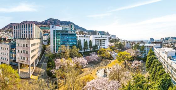 경남정보대 AI창업학과 지역 창업 생태계와 협력 확대