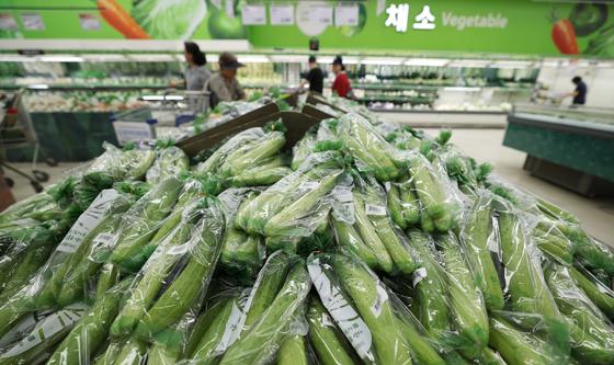 가을 앞두고도 폭염…건고추·오이 값 ‘껑충’