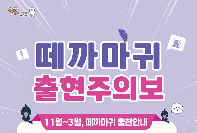 올겨울도 김해 도심에 떼까마귀…배설물 피해에 시 대책 가동