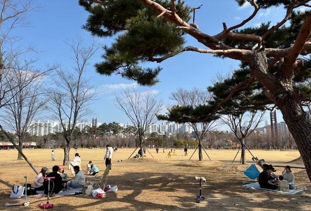 "와 이리 덥노"…포근한 날씨·2주 남은 방학에 시민들 '틈새 피크닉' 