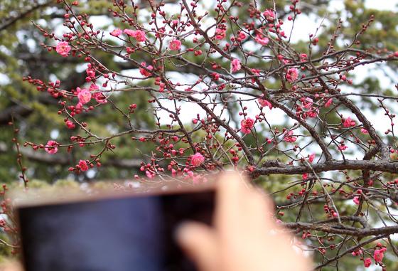 [오늘의 날씨] 부산·경남(20일, 화)…최저 -6도, 체감온도 '뚝'