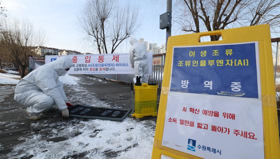 봉화·고창서 고병원성 AI 발생, 올겨울 41건째…"방역·수급 총력"