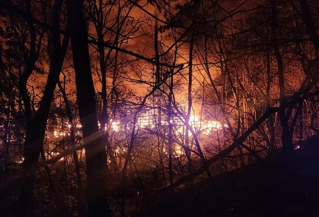 부산 산불 확산에 연화터널 차량 통제…리조트 투숙객 대피 권고