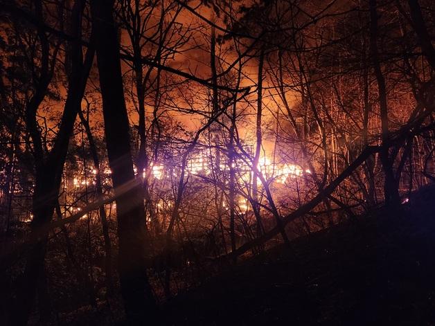 부산 산불 확산에 연화터널 차량 통제…리조트 투숙객 대피 권고
