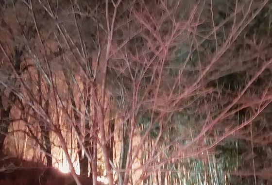 부산 기장군 산불 14시간 만에 진화…'축구장 18개 면적' 소실(종합)