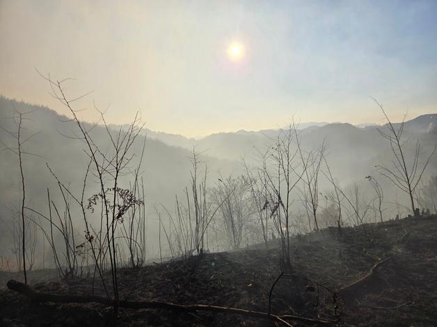 하룻밤 새 광양·기장 산불로 '축구장 88개' 산림 잿더미(종합2보)