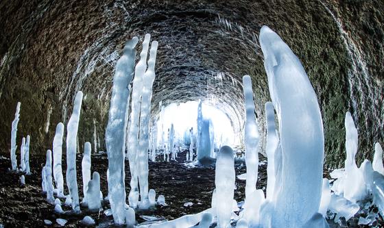 겨울에 만나보는 '역고드름' 장관
