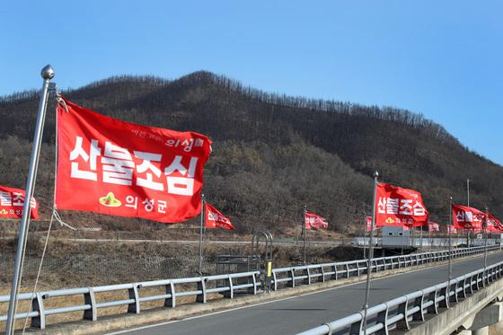 건조한 봄바람에 경남 '산불 비상'…양산 소토리 산불로 입산 통제