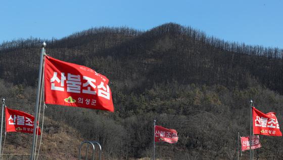구미·문경·거창…영남지역 건조특보 속 산불 잇따라(종합)