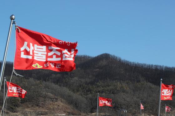 양산·창원·김해·의령 건조경보 상향…경남 전역 건조특보