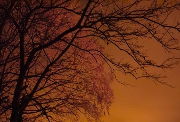 김해 공장 화재, 인근 산림으로 옮겨붙어…산림당국 262명 긴급 투입