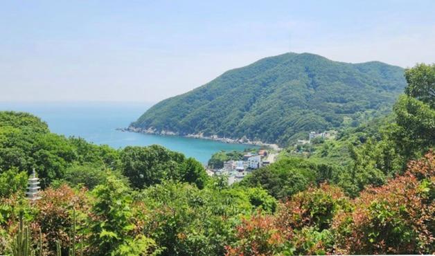 "부산 가덕도에 1096종 생물 서식…멸종위기 7종도 포함"