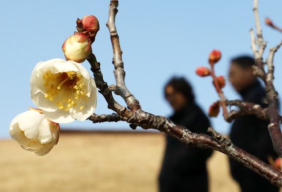 [오늘의 날씨] 부산·경남(13일, 화)…대기 건조, 강한 바람