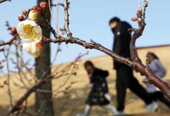 [오늘의 날씨] 부산·경남(15일, 목)…오전 5㎜ 미만 비, 아침 최저 -2~9도