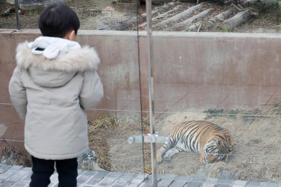 오늘 밤부터 '눈폭탄' 쏟아진다…최대 20㎝ 쌓인 뒤 주말 -15도 한파