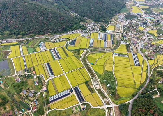 [오늘의 날씨] 부산·경남(12일, 월)…아침 선선·낮 29도, 큰 일교차